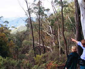 Hume And Hovell Walking Track - Accommodation QLD 5