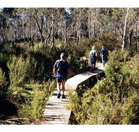 Hume and Hovell Walking Track - Henry Angel Trackhead - Accommodation QLD