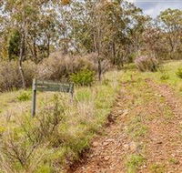 Old Mountain Road Walking Track - Accommodation QLD
