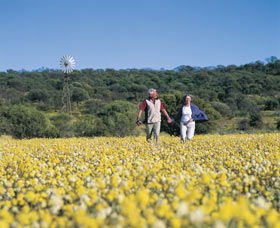 Koolanooka Springs - Accommodation QLD 0