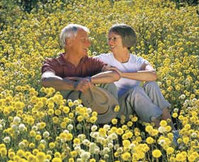 Koolanooka Springs - Accommodation QLD 3