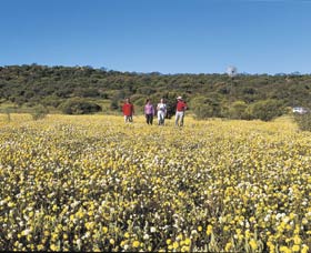 Koolanooka Springs - Accommodation QLD 2