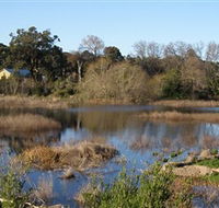 Coolart Wetlands and Homestead - Accommodation QLD