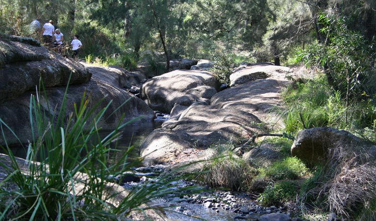 Dry Creek NSW Accommodation QLD