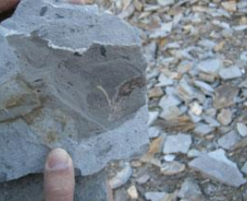 Fossil Rock - Accommodation QLD 1