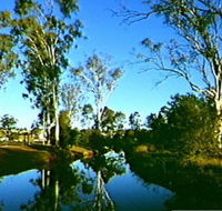 Dingo Creek Park - Accommodation QLD