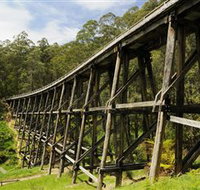 Noojee Trestle Bridge - Accommodation QLD