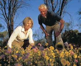 Canna ACT Accommodation QLD