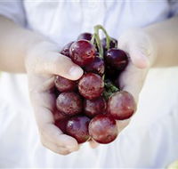 Granitevale  Estate Winery - Accommodation QLD