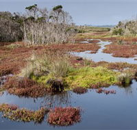 French Island National Park - Accommodation QLD