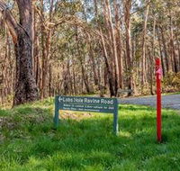 Lobs Hole Ravine 4WD Trail - Accommodation QLD