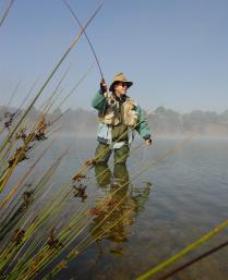Lake Wallace - Accommodation QLD 0