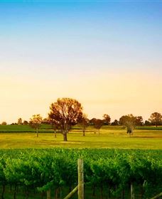 Canberra District Wineries - Accommodation QLD 0