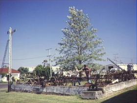 Clifton Historical Museum - Accommodation QLD 1