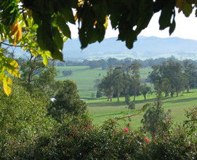 Brandy Creek Wines & View Cafe - Accommodation QLD 5