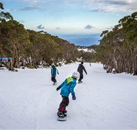 Mt Baw Baw Alpine Resort - Accommodation QLD