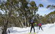 Mt Baw Baw Alpine Resort - thumb 4