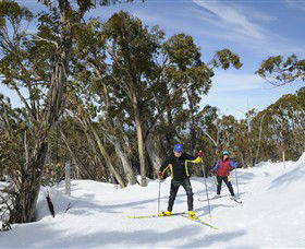 Mt Baw Baw Alpine Resort - Accommodation QLD 4