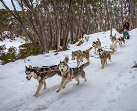 Mt Baw Baw Alpine Resort - Accommodation QLD 5
