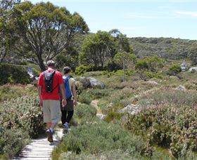 Mt Baw Baw Alpine Resort - Accommodation QLD 7