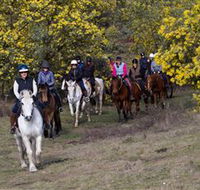 Burnelee Excursions on Horseback - Accommodation QLD