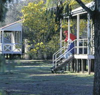 Dryandra Woodland - Accommodation QLD