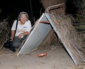 Barna Mia Native Animal Sanctuary - Accommodation QLD 3