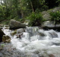 Washpool National Park - Accommodation QLD