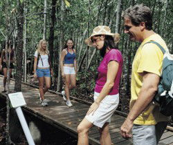 Toowoomba Water Bird Habitat - Accommodation QLD 1