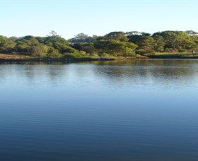 Toowoomba Water Bird Habitat - Accommodation QLD 2