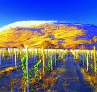 Surveyors Hill Winery - Accommodation QLD