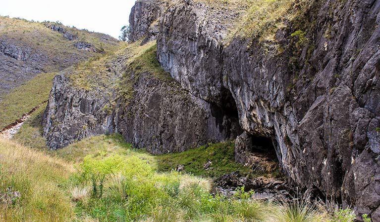 Cooleman ACT Accommodation QLD