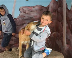 Maru Koala And Animal Park - Accommodation QLD 3