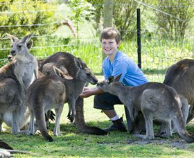 Maru Koala And Animal Park - Accommodation QLD 4