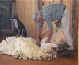 Maru Koala And Animal Park - Accommodation QLD 8