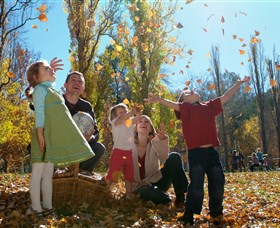 Cotter Avenue Recreation Area - Accommodation QLD 0