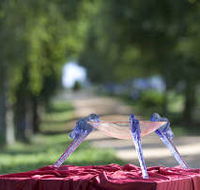 Lillico Glass Studio - Accommodation QLD
