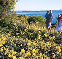 Joseph Banks Conservation Park - Accommodation QLD