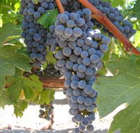 Joshuas Fault Wine - Accommodation QLD