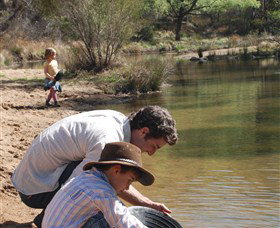 Wooldridge Recreation And Fossicking Reserve - Accommodation QLD 1