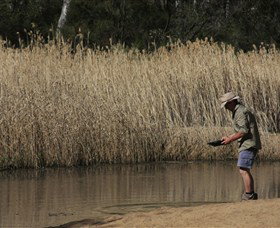 Wooldridge Recreation And Fossicking Reserve - Accommodation QLD 2