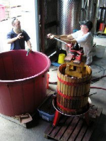 Pyramids Road Wines - Accommodation QLD 2