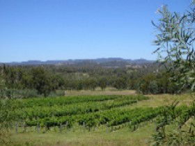 Pyramids Road Wines - Accommodation QLD 3