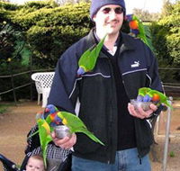 Canberra Walk In Aviary - Accommodation QLD