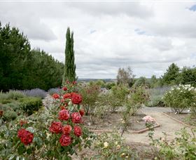 Laggan NSW Accommodation QLD
