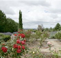 Crystal Brook Lavender Farm - Accommodation QLD