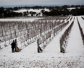 Savina Lane Premum Wines - Accommodation QLD 2