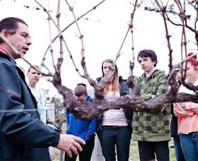 Varias Restaurant And Conference Centre Incorporating Banca Ridge Winery Cellar Door - Accommodation QLD 3