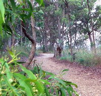 Mount Mutton Walking Trail - Accommodation QLD