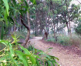 Mount Mutton Walking Trail - Accommodation QLD 0